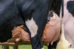 DSC08807-2 DSC08807-2