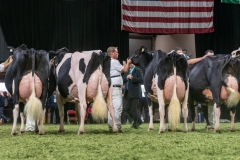 DSC08814-2 DSC08814-2