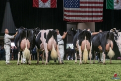 DSC08815-2 DSC08815-2