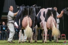 DSC08816-2 DSC08816-2