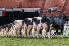 DSC08827-2 DSC08827-2