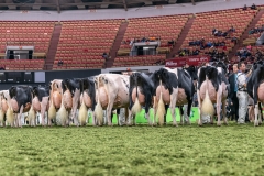 DSC08830-2 DSC08830-2