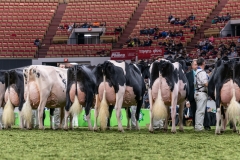 DSC08831-2 DSC08831-2