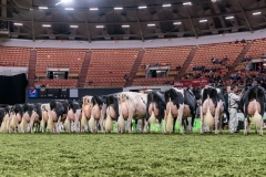 DSC08833-2 DSC08833-2