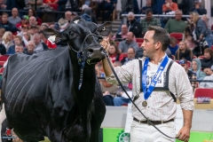 DSC08834-2 DSC08834-2