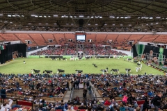 DSC08905-2 DSC08905-2