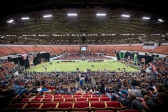 DSC08910-2 DSC08910-2