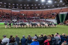 DSC08913-2 DSC08913-2