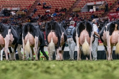 DSC08793-2 DSC08793-2