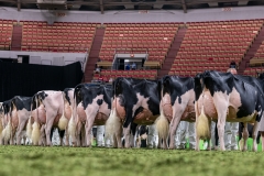 DSC08795-2 DSC08795-2