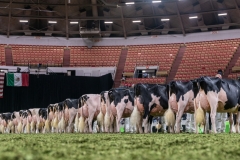 DSC08796-2 DSC08796-2