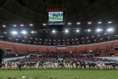 DSC08896-2 DSC08896-2