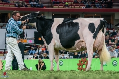 DSC00001-4 DSC00001-4