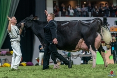 DSC00021-3 DSC00021-3