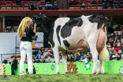 DSC00024-2 DSC00024-2