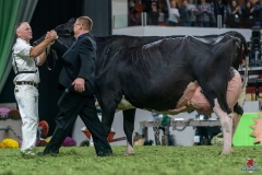 DSC00026-3 DSC00026-3