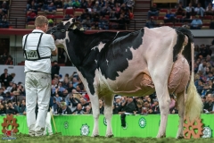 DSC00032-2 DSC00032-2