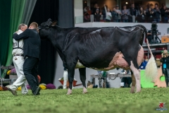 DSC00036-3 DSC00036-3