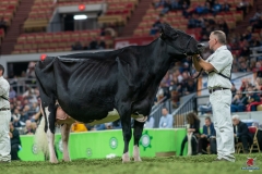 DSC00073-2 DSC00073-2