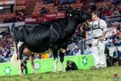 DSC00115-2 DSC00115-2