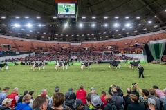 DSC09717-2 DSC09717-2