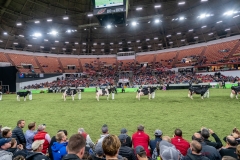 DSC09721-2 DSC09721-2