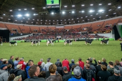 DSC09723-2 DSC09723-2