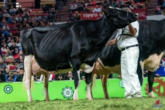 DSC09886-2 DSC09886-2