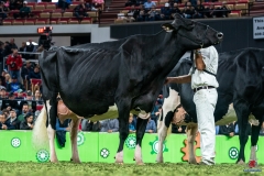 DSC09894-2 DSC09894-2