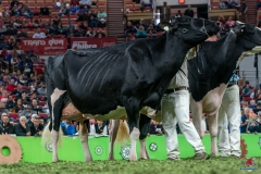 DSC09898-2 DSC09898-2