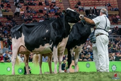 DSC09903-2 DSC09903-2