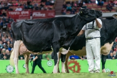 DSC09908-2 DSC09908-2