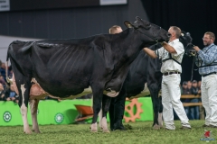 DSC09914-2 DSC09914-2