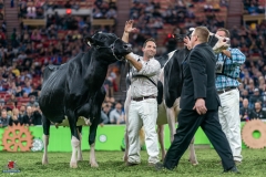 DSC09953-2 DSC09953-2