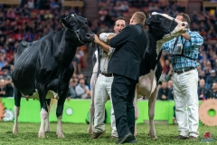 DSC09964-2 DSC09964-2