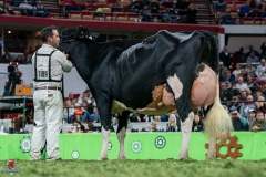 DSC09987-2 DSC09987-2