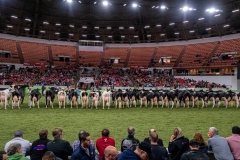 DSC08531-2 DSC08531-2