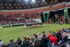 DSC08924-2 DSC08924-2