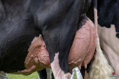 DSC09692-2 DSC09692-2