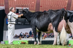 DSC09700-2 DSC09700-2