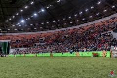 DSC09701-2 DSC09701-2