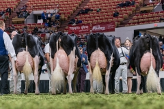 DSC09705-2 DSC09705-2