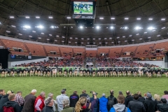 DSC08539-2 DSC08539-2