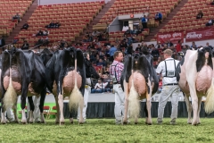 DSC08784-2 DSC08784-2