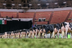 DSC08791-2 DSC08791-2