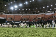 DSC06815-2 DSC06815-2