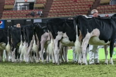 DSC06818-2 DSC06818-2