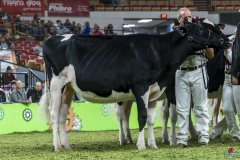 DSC06821-2 DSC06821-2