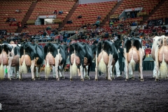 DSC07887-2 DSC07887-2