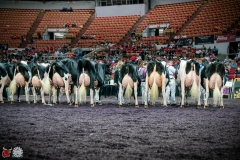 DSC07878-2 DSC07878-2